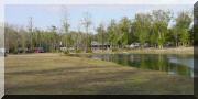 The field next to the pond is a great place to play.